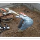 홍동농장 이미지