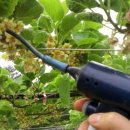 첫골농장 이미지