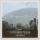 사계절분식 - 안동시 복주3길 23-16 | 거제 비오는날 가볼만한곳 거제식물원 정글돔 | 새둥지 포토존이 유명한 실내 여행지