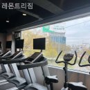 레몬트리짐 이미지