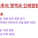 체형교정원 이미지