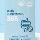 라파힐 이미지