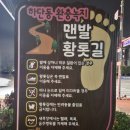 낙동강변 | 낙동강변 옆 황토길 맨발걷기, 후기와 효능(수건 챙겨!!)