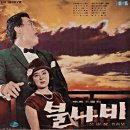 불나비 / 김상국 (1965 映畵 [불나비] 主題歌) 이미지