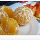 미래로농장 이미지