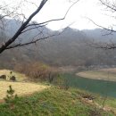 잔듸민박 이미지