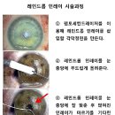 레인드롭 이미지