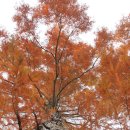 경주산림환경연구원 이미지