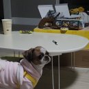 우석한의원 이미지