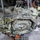 동양오토밋션 이미지
