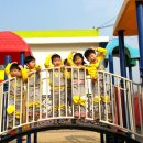 엄정초교 병설유치원 이미지