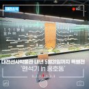 대전선사박물관 | 대전선사박물관 특별전 &#39;뗀석기 in 용호동&#39;, 대전의 10만년 전 역사를 살펴보다