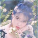 쨍 이미지