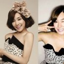 머리엔머리 이미지