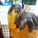 삼향-9 이미지