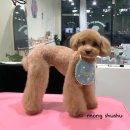 용화동 용화로 이미지