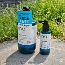 (주)청정드라이크리닝 | 여름철 두피관리 지성 두피냄새 려 루트젠 아쿠아필 헤어토닉 두피청정 쿨샴푸 추천