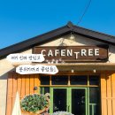 남양주지역노동조합 | 남양주 화도 카페 추천｜브런치,파스타,피자까지 가능한 카펜트리 화도점 후기