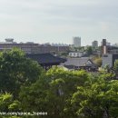 다소니 | 전주 여행 숙소 이월에서 보낸 하룻밤 다소니 방 한옥마을 숙박 솔직 후기