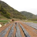 운호농장 이미지