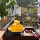 라소(laso) | 라소커피 스튜디오-경주 황리단길 조용한 망고빙수 맛집 내돈내산