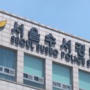 강남초교 이미지