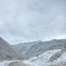 호명산캠프 | [캠핑🏕]호명산캠프에서의 설캠,함박눈이 내려서 행복했던 동계캠 기록