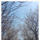 [파평산]＜경기 파주＞...아픈 손가락,김신조루트 이미지