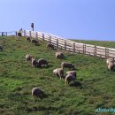 산기슭목장 이미지