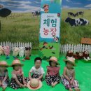 석암농장 네이버블로그
