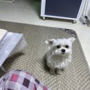 백수 라이프