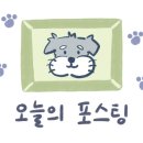 행정사 차종석 이미지