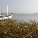 조류생태전시관 이미지