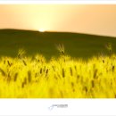 (주)트리니티