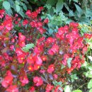 불바라기팬션 이미지