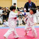 충주 송암 충북뉴스