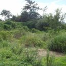 황산면 옥동리 ~ 황산면 옥동리 이미지