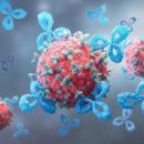 MIT Fitness 이미지