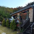 평화와 미래를 향한 울림 음악회 | 밀양 김옥아트센터, 1년의 시간을 선율로 수놓는 사계절 연주회 일정