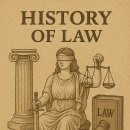 법의 역사: 근대 전기와 후기, 현대 법의 변화와 영미법의 흐름
