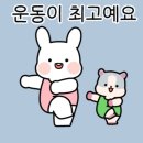 HS복싱 이미지