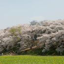 씨밀레