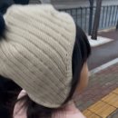 몽실놀다가개