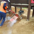 학림초교(병설) 이미지