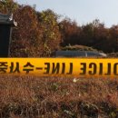 문중기획