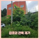 봉명5길 | 잡초 관목 제거 임야벌목