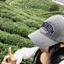 애니카랜드강정점(세계로카) | 7月 杭州, our own summer