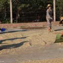 뉴그린농장 이미지