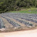 잘생긴부동산중개 이미지