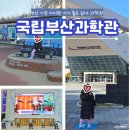 국립부산과학관 천체투영관 | 부산여행 아이랑 가볼만한곳 기장 국립부산과학관 상설전시관 로봇댄스, 느린우편함, 천체투영관 꿀팁